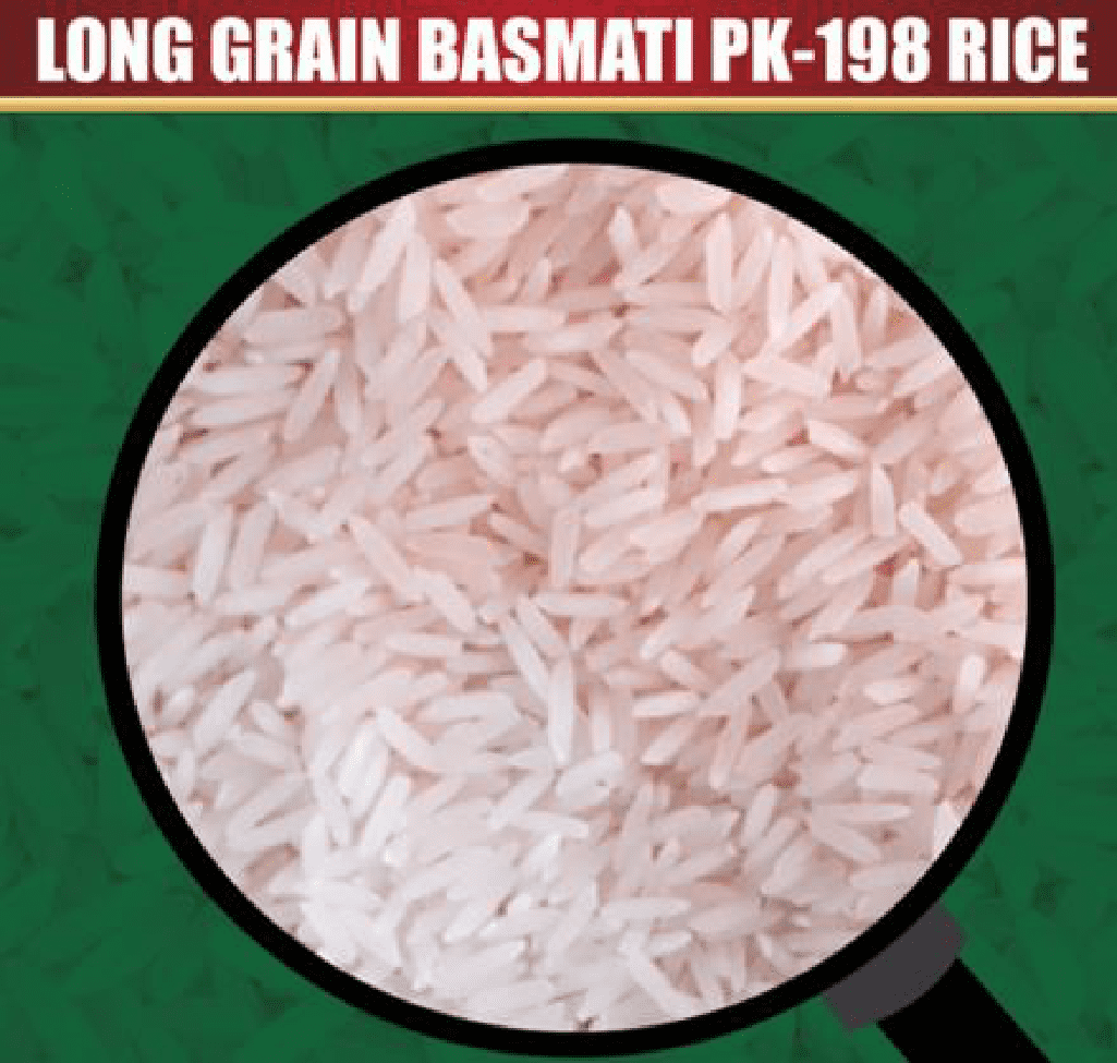 PK-198 Long Grain Basmati Rice (type Karoline )