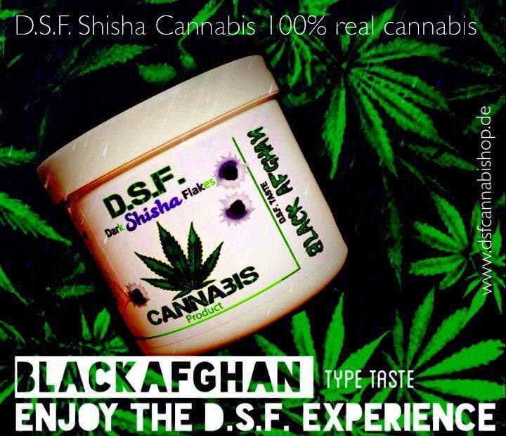 Shisha cannabis